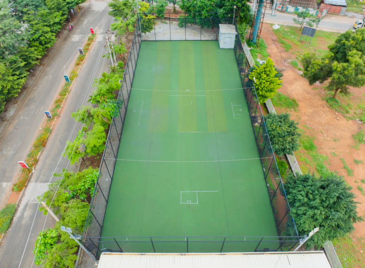 Adaptive athletes celebrating a wicket at DPSL